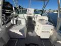 Cobia 240DC