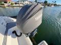 Cobia 240DC