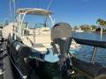 Cobia 240DC