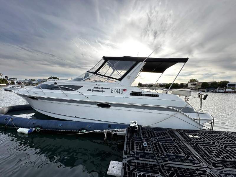 Haines Signature 850 Sports Bridge