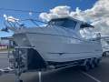 New Sailfish Canyon Master 8.2m Length Overall - All New Specification!