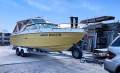 Sea Ray SRV 220 Overnighter Cuddy Cruiser