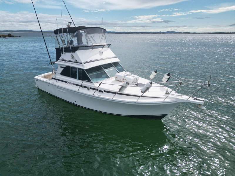Bertram 35 Flybridge
