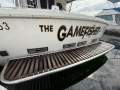 Bertram 35 Flybridge