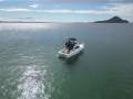 Bertram 35 Flybridge