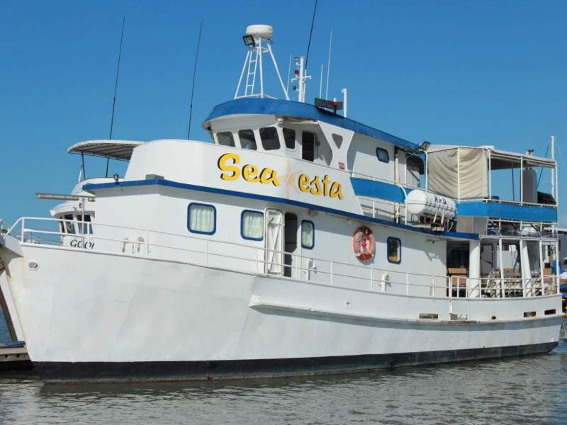 Steel 16.9m Dive Charter Vessel - 1B Survey (Certi
