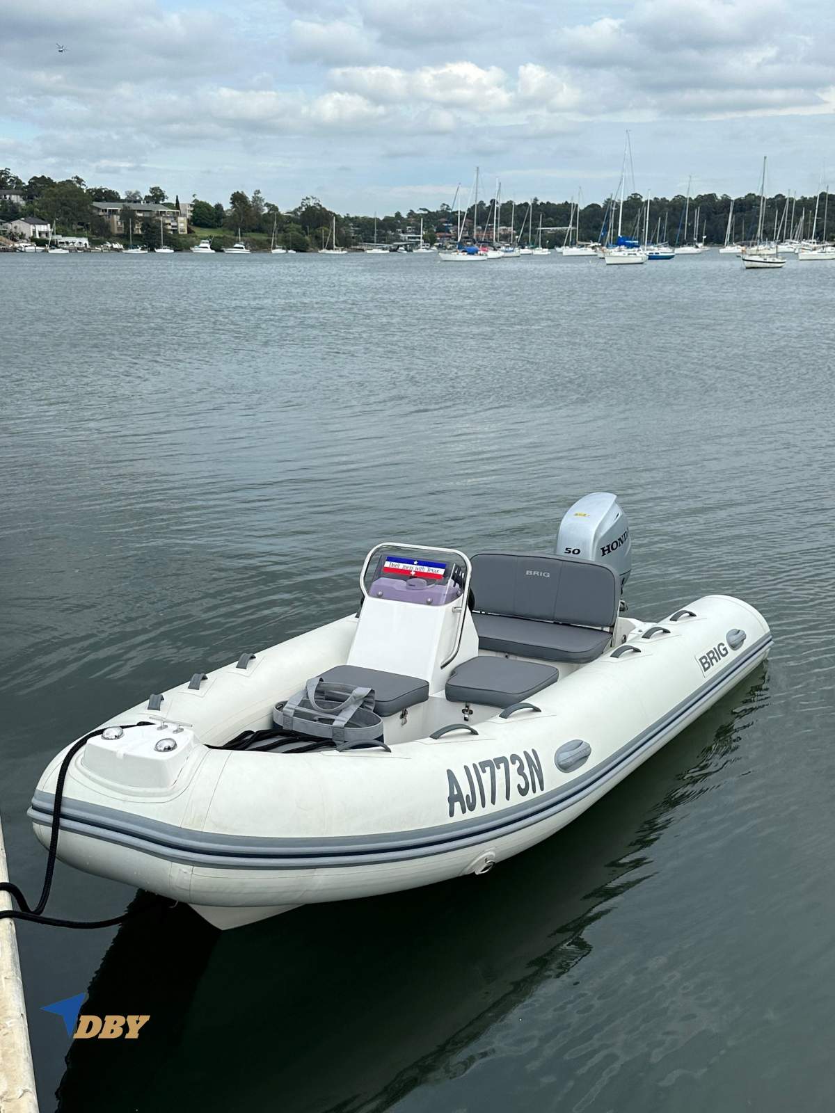 Brig Falcon 420 HT