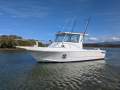 Blackfin 26