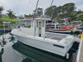 Blackfin 26