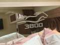 Mustang 3800 Hard Top