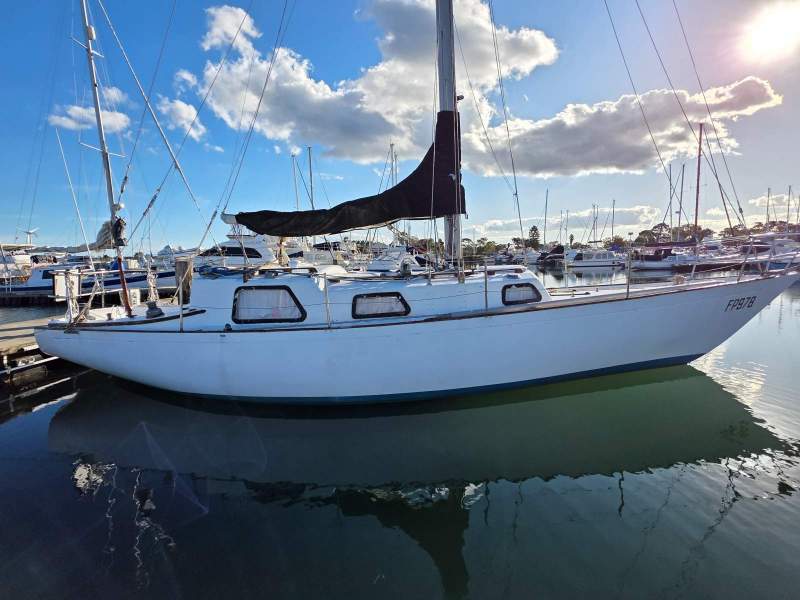 Brolga 33