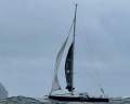 Nelson Marek 43
