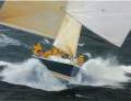 Nelson Marek 43