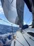 Nelson Marek 43