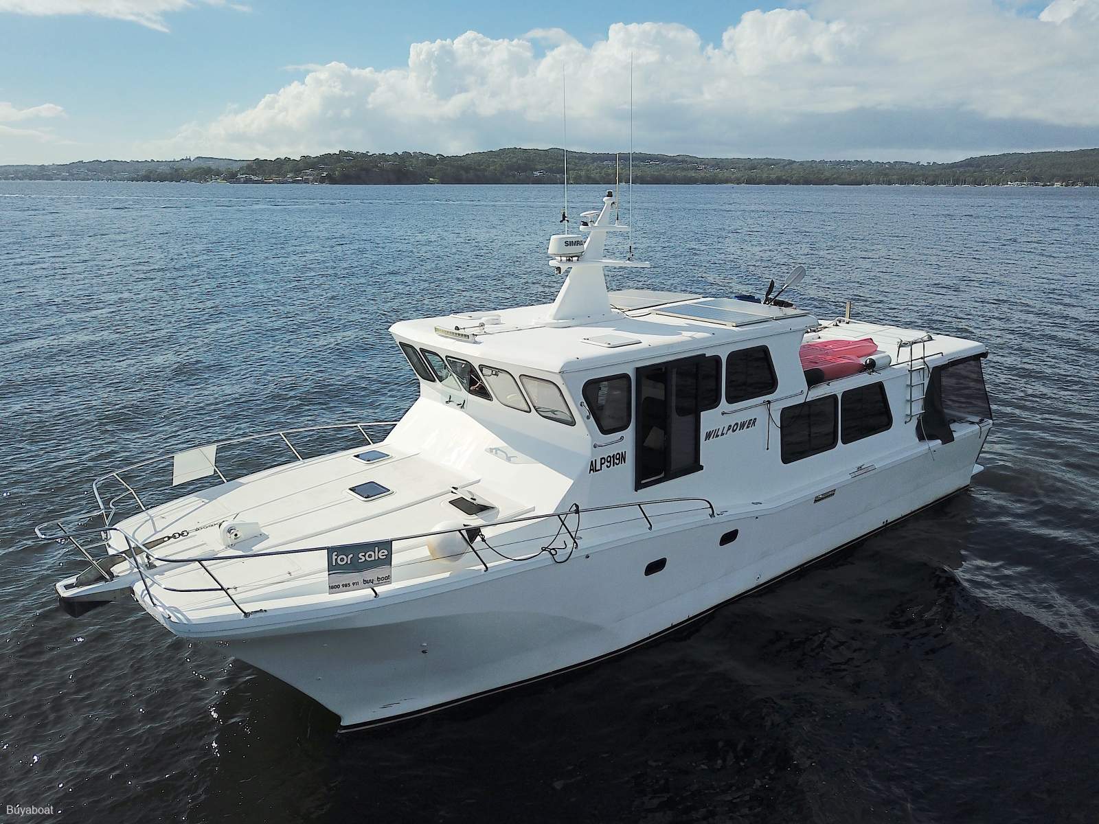 Cougar Cat 53 Custom
