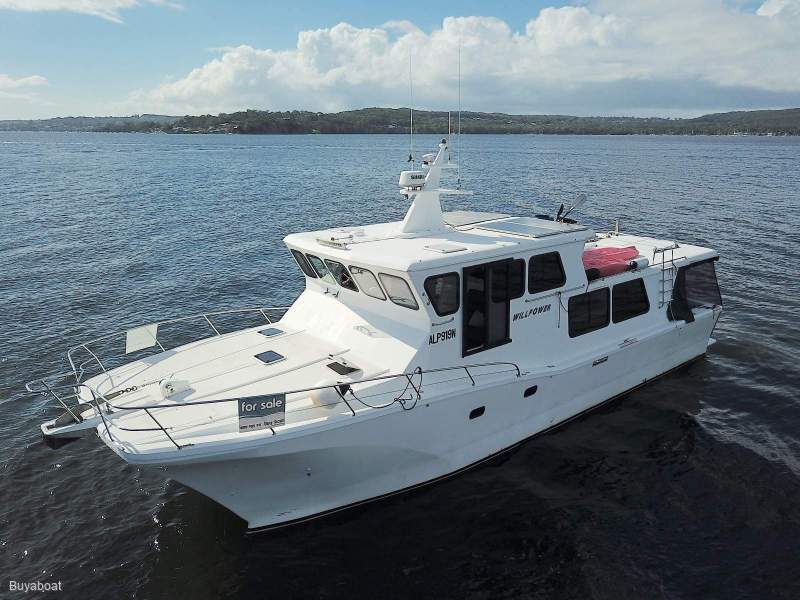 Cougar Cat 53 Custom