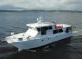 Cougar Cat 53 Custom