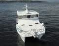 Cougar Cat 53 Custom