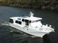 Cougar Cat 53 Custom