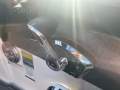 Chaparral 250 OSX