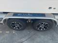 Chaparral 250 OSX