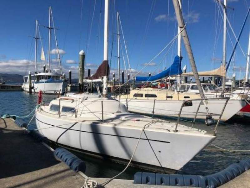 Cavalier 26