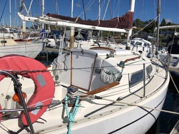 Cavalier 26