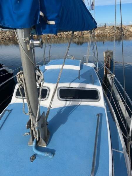Roberts 29