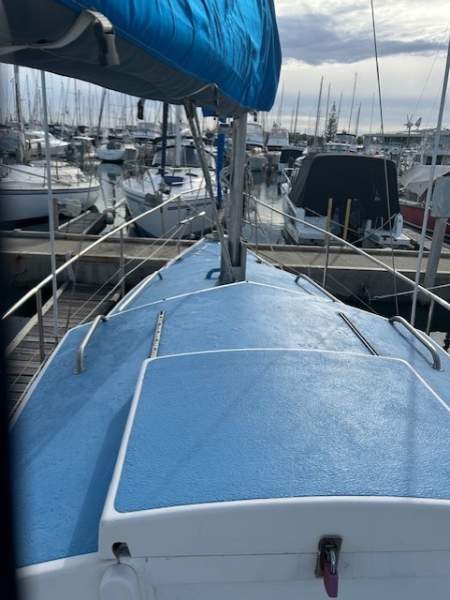 Roberts 29
