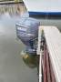 Avanti 1998 Bayliner 3685