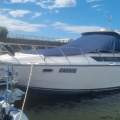 Avanti 1998 Bayliner 3685