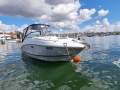 Sea Ray 260 Sundancer