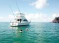 Riviera 38 Open Flybridge