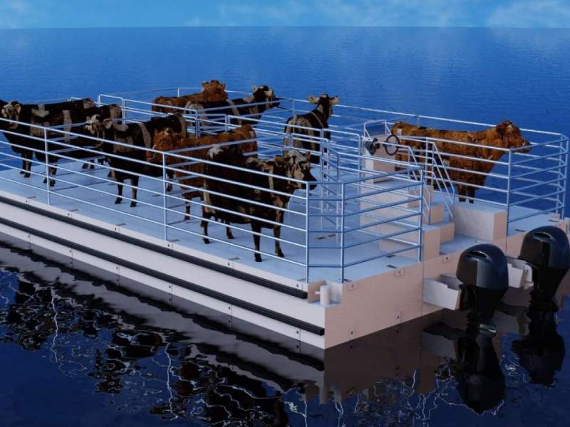 Stalwart Marine CC11900 - 11.90 Meter Cattle Carrier