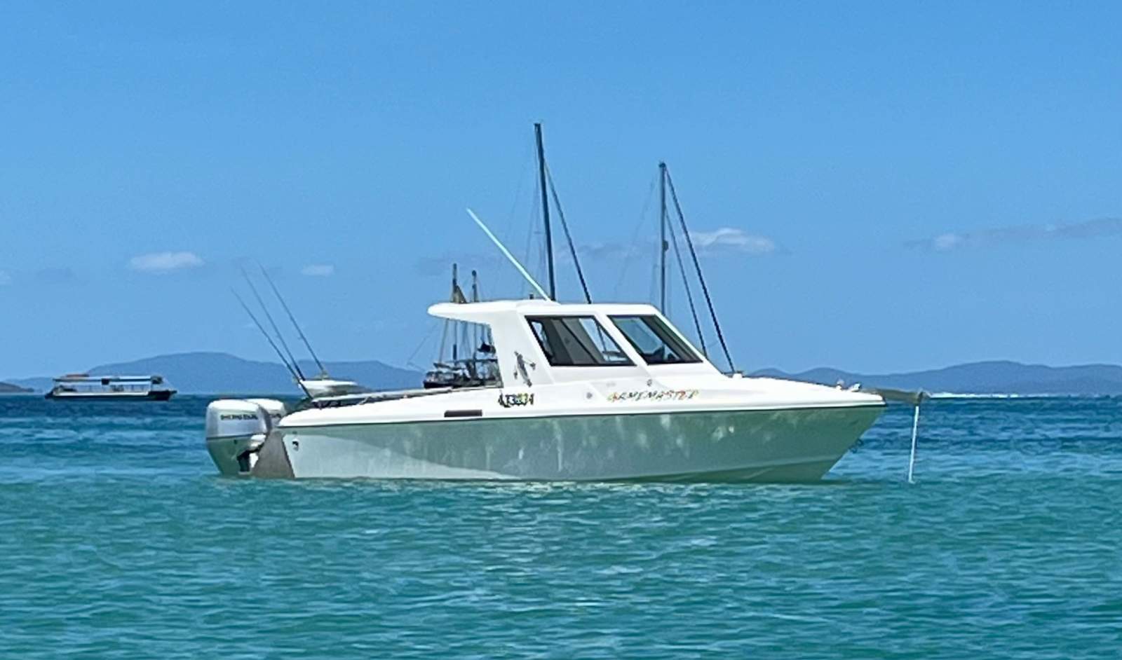 White Pointer 243