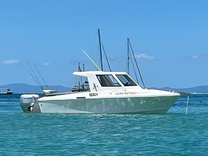White Pointer 243
