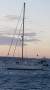 Peterson 46 Cutter