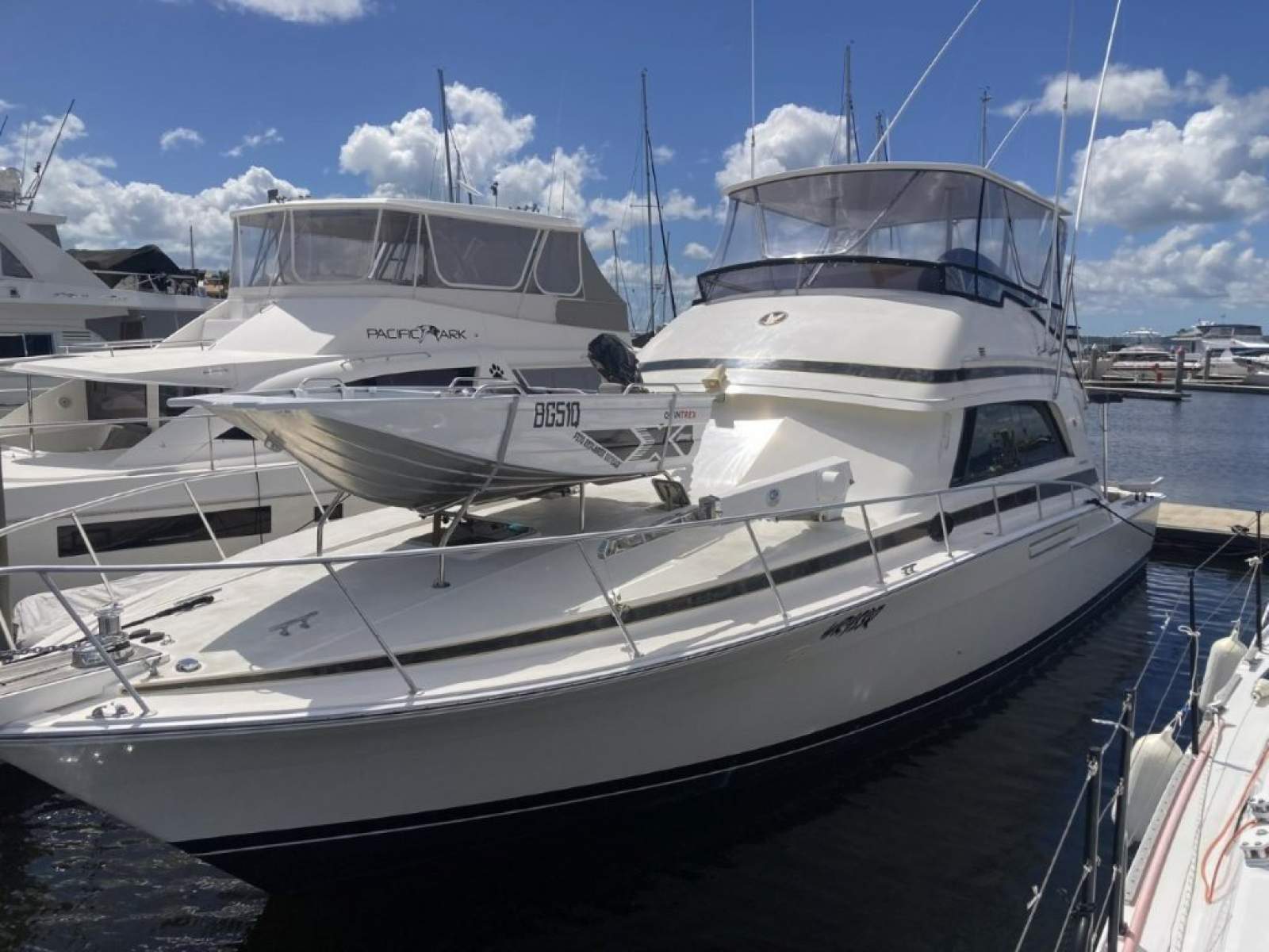 Bertram 50