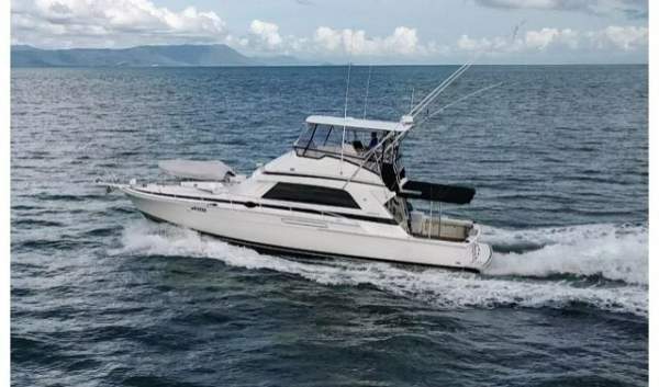 Bertram 50