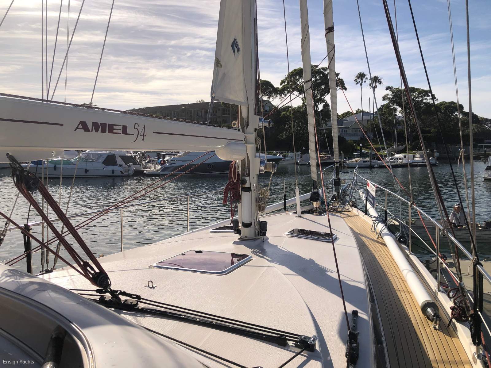 Amel 54