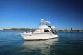 Riviera 36 Open Flybridge *** PERFECT ROTTO BOATING *** $ 258,000 ***