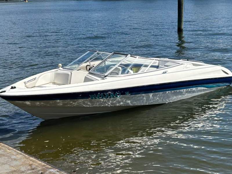 Bayliner 2050 Capri Bayliner 2050 Capri - V8 Power, Serviced, Trailer