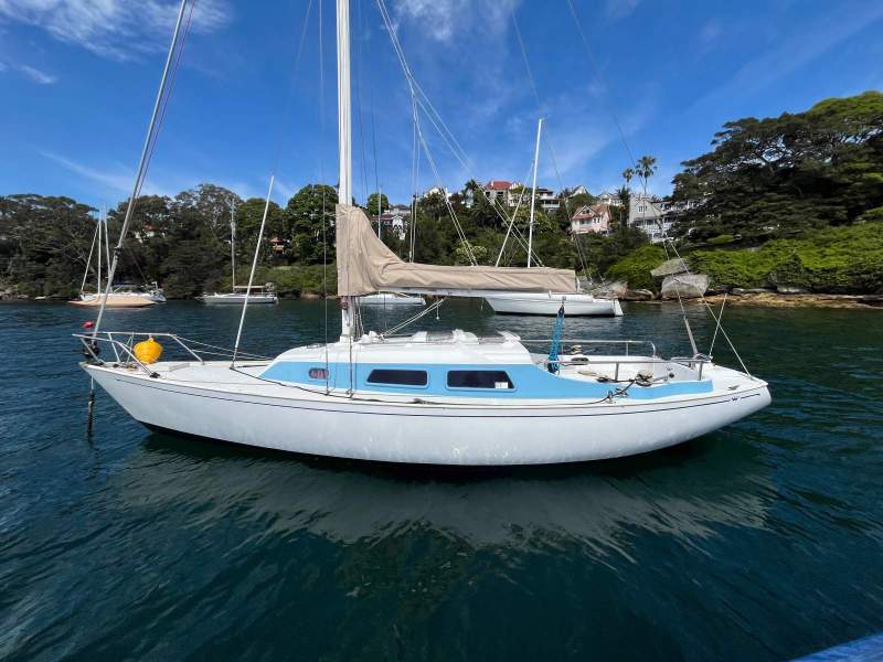 Contessa 25