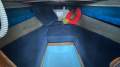Caribbean Reef Runner 21