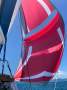 Leopard Catamarans 384