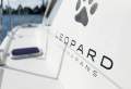 Leopard Catamarans 384