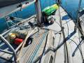 Peterson 12m Alloy