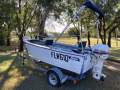 Stessl 4.1 Dinghy - Sea Link Trailer - 35hp Johnson - Fully Serviced