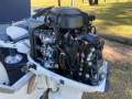 Stessl 4.1 Dinghy - Sea Link Trailer - 35hp Johnson - Fully Serviced