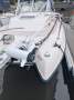 Grady-White Tigercat F26 Multi hull